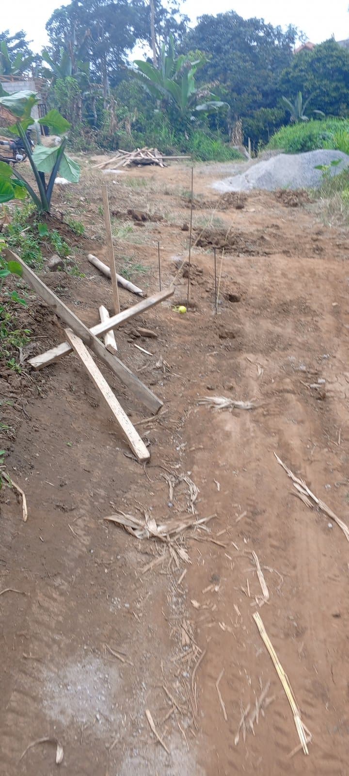 Opportunité foncière à saisir au niveau de l'échangeur autoroutier yde-dla ,au lieu dit lobo à 20km de yde et 168km de dla — 1/1