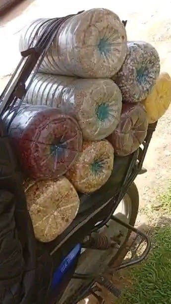 Les denrées alimentaires en gros et en détail — 1/1